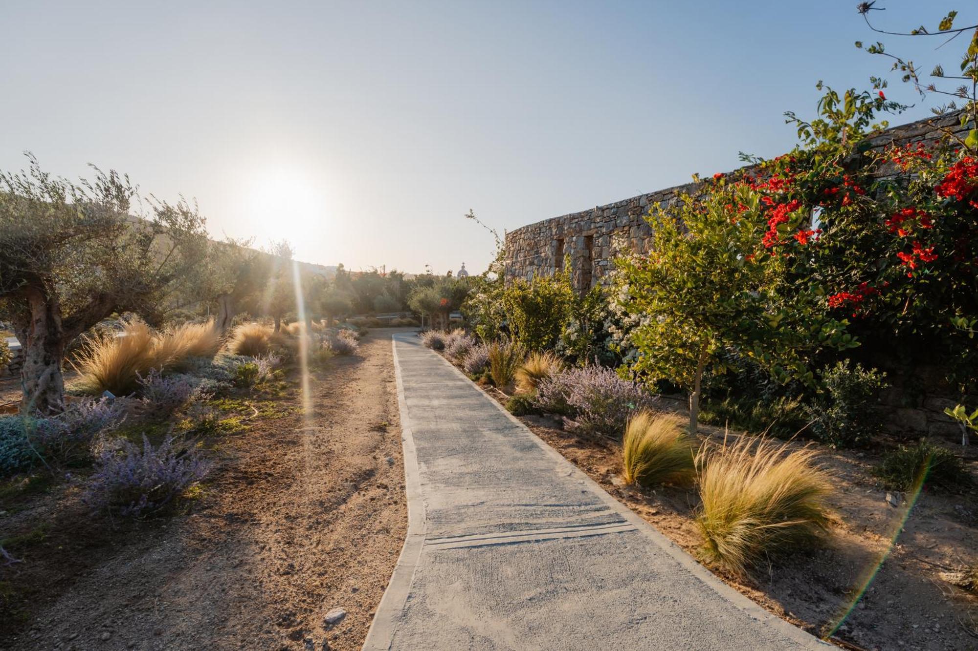 Oliving Mykonos Luxury Suites Klouvas Buitenkant foto