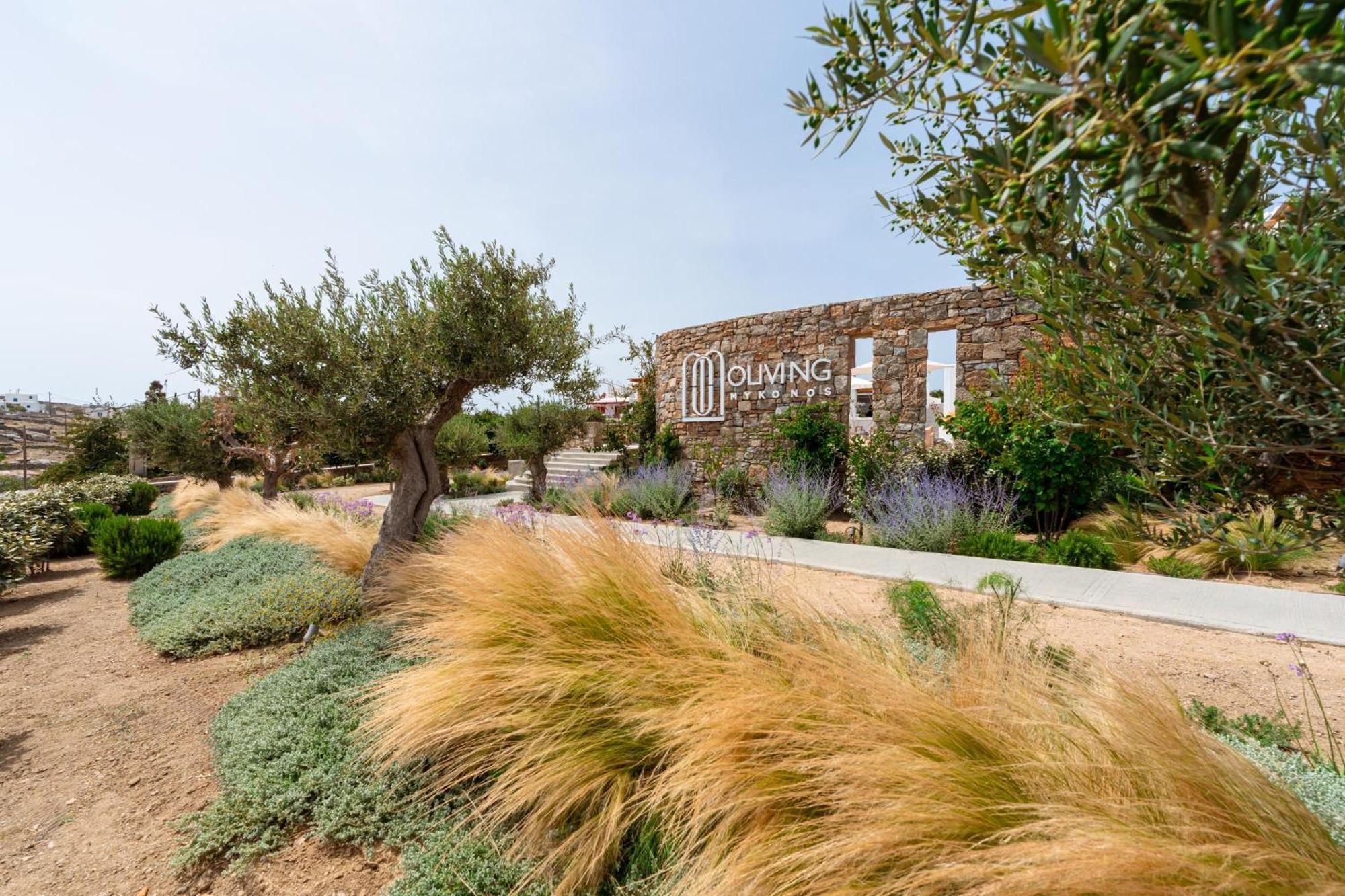 Oliving Mykonos Luxury Suites Klouvas Buitenkant foto